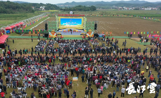 　　9月21日，咸寧市咸安區(qū)高橋蘿卜小鎮(zhèn)百畝草地上舉行了“慶豐收·迎小康”第三屆中國(guó)農(nóng)民豐收節(jié)湖北分會(huì)場(chǎng)咸寧主會(huì)場(chǎng)慶?；顒?dòng)，全市各界農(nóng)民代表相聚白水畈的美麗田野，分享豐收的喜悅，慶祝屬于自己的節(jié)日。  　　開幕式上舉行了精彩的文藝演出，演出在舞蹈《慶豐收》中拉開序幕，歌舞《錦繡小康》呈現(xiàn)出咸寧各地欣欣向榮、脫貧致富奔小康的幸福場(chǎng)景。網(wǎng)紅歌曲《你莫走》、舞蹈《慶豐收》、歌舞《一起幸福》，一個(gè)個(gè)精彩的節(jié)目輪番上演，博得現(xiàn)場(chǎng)觀眾陣陣掌聲。  　　開幕活動(dòng)現(xiàn)場(chǎng)還舉行了頒獎(jiǎng)儀式，第二屆“美麗中國(guó)、鄉(xiāng)村振興”全國(guó)農(nóng)民詩歌邀請(qǐng)賽獲獎(jiǎng)組織和個(gè)人，全市農(nóng)村人居環(huán)境整治示范村，省級(jí)農(nóng)業(yè)產(chǎn)業(yè)化工作先進(jìn)集體和先進(jìn)個(gè)人上臺(tái)領(lǐng)獎(jiǎng)?，F(xiàn)場(chǎng)還舉行了鄂南民俗展演、農(nóng)民趣味運(yùn)動(dòng)會(huì)、扶貧農(nóng)產(chǎn)品以及咸寧特色農(nóng)產(chǎn)品展銷等豐富多彩的活動(dòng)。火爆的人氣，讓在場(chǎng)的展銷商賺得是盆滿缽滿。  　　咸寧市咸安區(qū)鑫達(dá)種養(yǎng)專業(yè)合作社理事長(zhǎng)萬永輝：今年家里的香菇都豐收了，一上午我就賣出了一萬多元，我們合作社采取的是“合作社+農(nóng)戶”的模式，也帶領(lǐng)了20多戶貧困戶脫貧了。  　　咸寧市致遠(yuǎn)種植專業(yè)合作社理事長(zhǎng) 吳海兵:我們今年是真真正正地豐收了，我們生姜的價(jià)格足足翻了三倍，跟著我們一起的貧困戶也平均增收了3000元左右。  　　而這一系列的活動(dòng)，都是在蘿卜小鎮(zhèn)的草地上進(jìn)行的，草地作舞臺(tái)、草地搞展示、草地上比賽等等，這數(shù)百畝草地，此時(shí)此刻成為了咸寧農(nóng)民們慶祝豐收的歡樂場(chǎng)。  　　咸寧市咸安區(qū)高橋鎮(zhèn)黨委書記王順榮：今年的湖北分會(huì)場(chǎng)在我們高橋蘿卜小鎮(zhèn)舉辦，我感到很榮幸，我們從一顆蘿卜做起，以白水畈蘿卜為核心品牌，打造白水畈"我家菜園"蔬菜基地及旅游觀光體驗(yàn)中心，發(fā)展綠色農(nóng)業(yè)、生態(tài)旅游，增加產(chǎn)業(yè)開發(fā)的綜合效益，創(chuàng)建蘿卜特色小鎮(zhèn)，走出了一條農(nóng)業(yè)、旅游相結(jié)合的新路，推動(dòng)高橋鎮(zhèn)一二三產(chǎn)業(yè)融合發(fā)展。  　　鄉(xiāng)親們說，這在以前是想都不敢想的，高橋鎮(zhèn)蝸居山里，太偏遠(yuǎn)又沒有資源優(yōu)勢(shì)，想發(fā)展太難。而現(xiàn)在這一切的悄然改變，得益于2017年10月13日，咸安區(qū)政府與鄂旅投公司正式簽署的《131軍旅小鎮(zhèn)+白水畈田園綜合體旅游開發(fā)投資合作協(xié)議》，鄂旅投公司將投資30億元，在高橋鎮(zhèn)打造131軍旅小鎮(zhèn)和白水畈田園綜合體旅游開發(fā)項(xiàng)目。項(xiàng)目共分為131軍旅小鎮(zhèn)、白水畈美麗鄉(xiāng)村、特色農(nóng)業(yè)示范、旅游綜合體四大板塊，打造旅游綜合服務(wù)區(qū)、澄水洞軍事展示區(qū)、青少年國(guó)防教育基地、鐵血軍事樂園區(qū)、戰(zhàn)狼訓(xùn)練基地、美麗村灣民俗區(qū)、四季瓜果示范區(qū)、農(nóng)耕文化展示區(qū)、特色商業(yè)街區(qū)和康養(yǎng)度假區(qū)十大功能區(qū)。  　　咸寧市咸安區(qū)高橋鎮(zhèn)黨委書記王順榮：我們引進(jìn)鄂旅投，打造蘿卜小鎮(zhèn)，目前建設(shè)有蘿卜小鎮(zhèn)科普館、蘿卜鄉(xiāng)學(xué)院、蘿卜酒店等休閑旅游項(xiàng)目，十一馬上到了，也歡迎廣大游客前來游玩。  　　今年是決勝全面建成小康社會(huì)、決戰(zhàn)脫貧攻堅(jiān)之年。咸寧市本著"儉樸、祥和、歡樂，農(nóng)民參與，農(nóng)民唱主角"的辦節(jié)思路，而此屆中國(guó)農(nóng)民豐收節(jié)辦節(jié)費(fèi)用也是倍減。  　　農(nóng)為邦本，本固邦寧。今年，面對(duì)重大疫情和特大洪澇災(zāi)害，咸寧市扎實(shí)做好“六穩(wěn)”工作、落實(shí)“六?！比蝿?wù)，克服重重困難，推動(dòng)農(nóng)業(yè)實(shí)現(xiàn)持續(xù)平穩(wěn)發(fā)展，形成了茶葉、油茶、中藥材等12個(gè)特色農(nóng)業(yè)主導(dǎo)產(chǎn)業(yè)，“全國(guó)一村一品示范村鎮(zhèn)”發(fā)展到14家，國(guó)家級(jí)、省級(jí)農(nóng)業(yè)產(chǎn)業(yè)化龍頭企業(yè)達(dá)到55家。尤其是糧食產(chǎn)量預(yù)計(jì)達(dá)118萬噸、蔬菜產(chǎn)量預(yù)計(jì)達(dá)260萬噸，生豬預(yù)計(jì)出欄183.52萬頭，農(nóng)業(yè)生產(chǎn)再獲豐收，糧食安全有效保障，讓農(nóng)民的腰包更鼓、家園更美、生活更甜，為加快實(shí)施鄉(xiāng)村振興戰(zhàn)略、推動(dòng)咸寧高質(zhì)量發(fā)展提供堅(jiān)實(shí)保障。